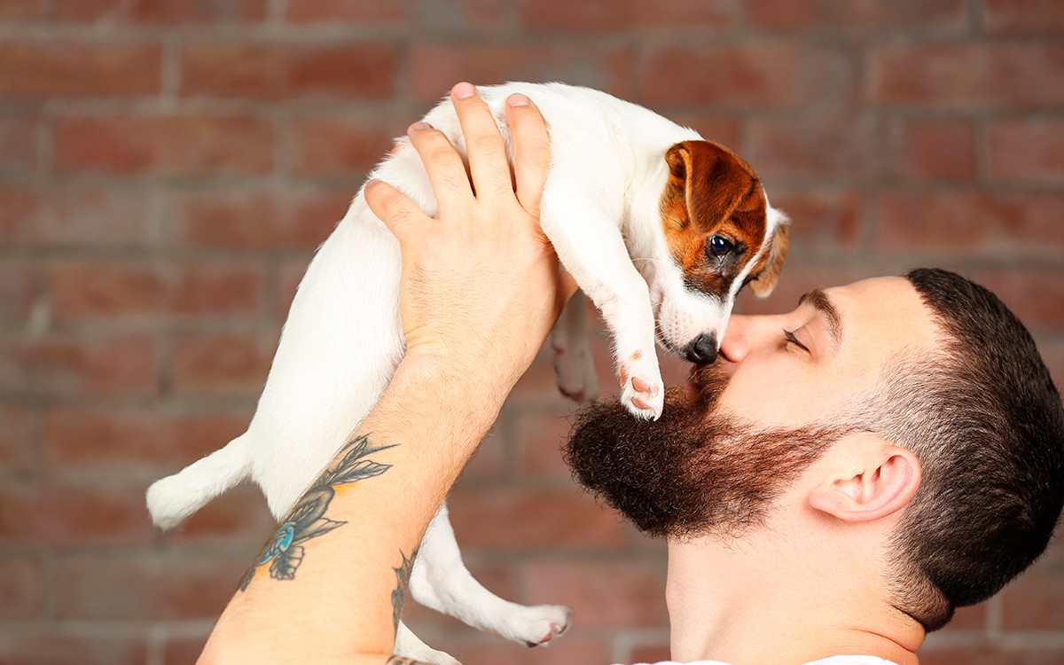 4 raisons de draguer avec son chien | 🌈Jock.life